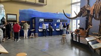 students at Ithaca Museum