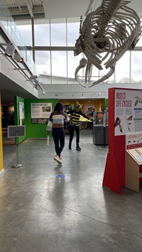 students at Ithaca Museum