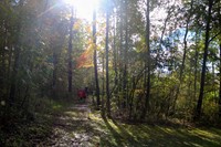 students participating in Warrior Run