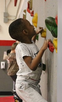 Students participating in Wellness Day