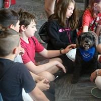 students taking part in Wellness Day activities