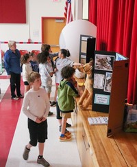 Chenango Bridge Science Fair