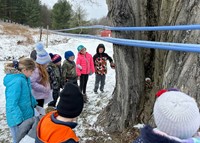 Second Grade Field Trip to Cooper Hill Maple 2024