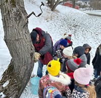 Second Grade Field Trip to Cooper Hill Maple 2024