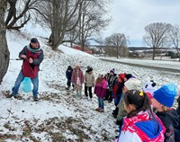 Second Grade Field Trip to Cooper Hill Maple 2024